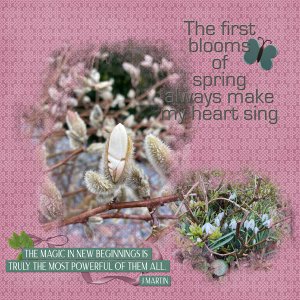 spring to blossom