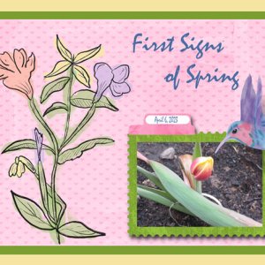 First Signs of Spring