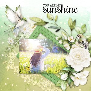 You Are My Sunshine