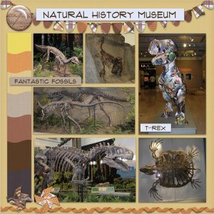 Carnegie Museum of Natural History