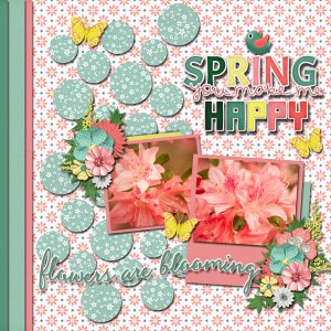 Flowers are Blooming