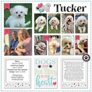 GoodBye Tucker