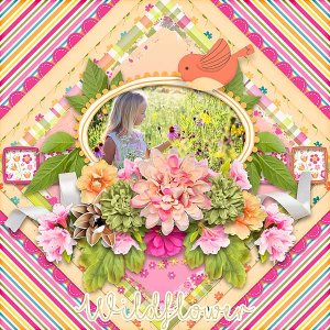 Wildflowers