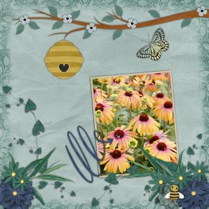 Honey Bee