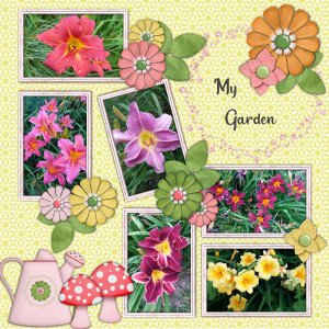 My Garden