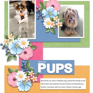 Meet the: PUPS
