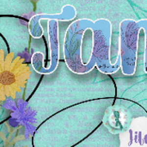 Signature Challenge - April