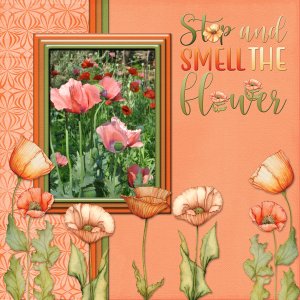 Stop and smell the flower
