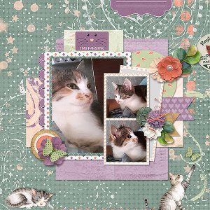 Stay Pawsitive