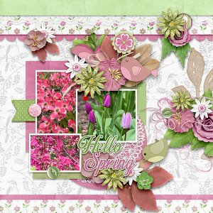 Backyard-Flowers