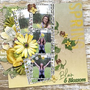 Bloom and blossom