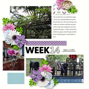 Week 14
