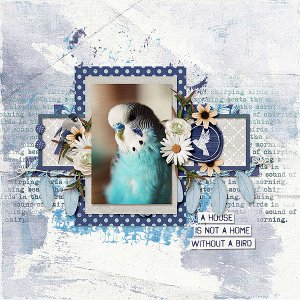 bird lady