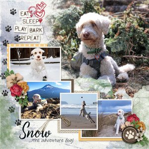 Snow Dog