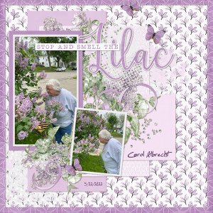 Paint Chip Lilac
