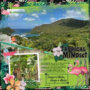 Tropical Mindset- St. Lucia