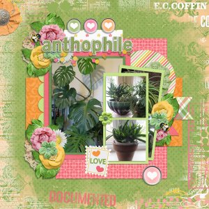 anthophile