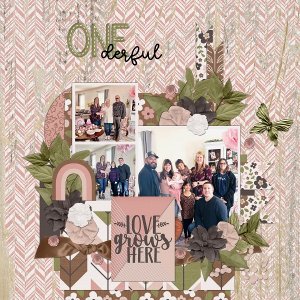 Onederful