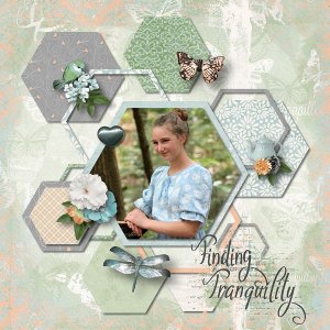 Finding Tranquility