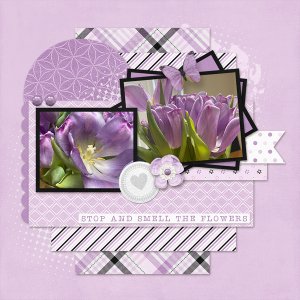 Tulips
