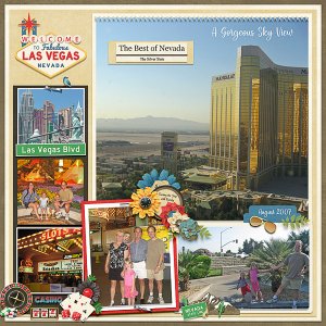 The Best of Nevada in 2007
