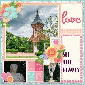 See_the_beauty2