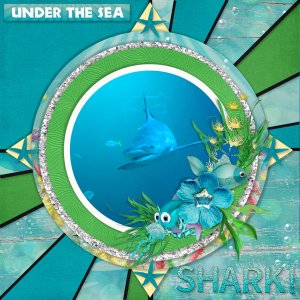 Shark