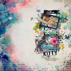 Grumpy Kitty | 2023
