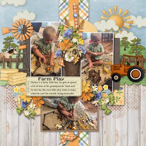 Farm Play