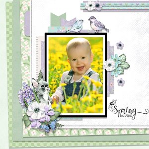 Spring