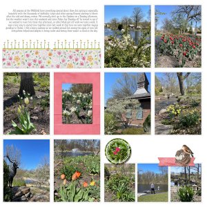 Wellfield Botanic Gardens Page 2