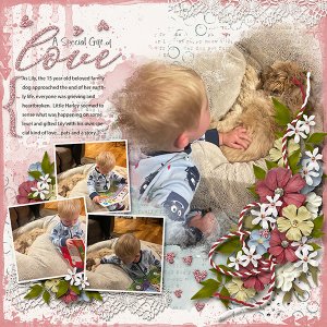 A Special Gift of Love