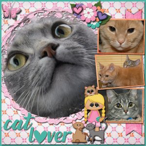Cat Lover