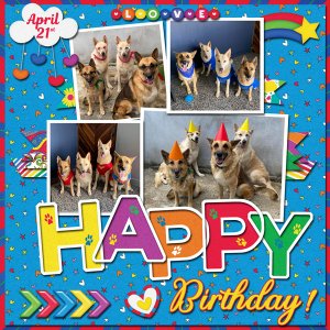 Happy Birthday PriQ, Baileys and Tequila