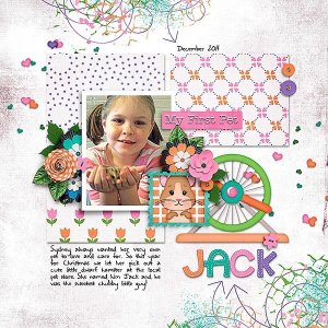 Jack the Hamster