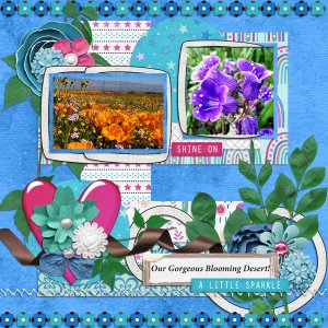 Blooming Desert