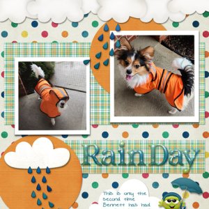 Rain Day