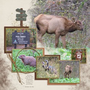 Peck Ranch (Missouri) 10.29.2021