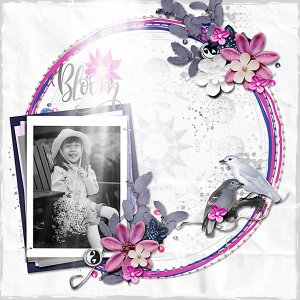 Bloom