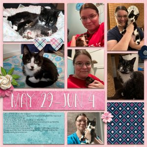 Day2Day 2022 Week 23