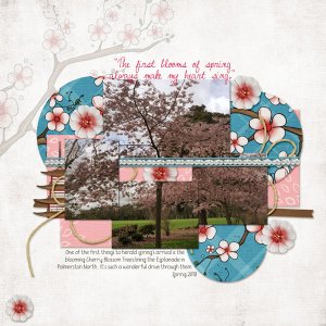 Cherry Trees