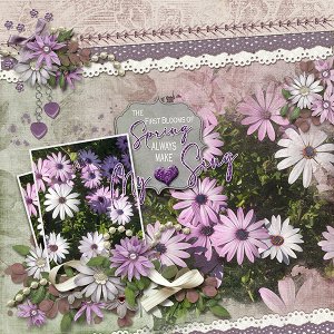 Spring Blooms