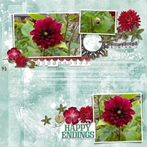 Dahlias
