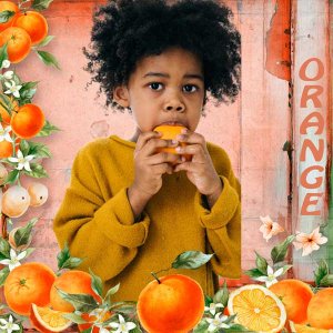 In Naam Van Oranje by Ilonka's Design.