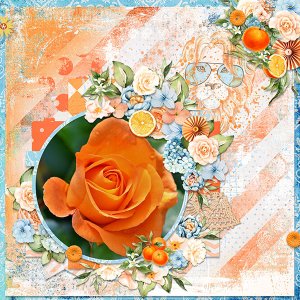BD-In_Naam_Van_Oranje