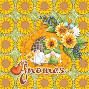 Love Gnomes