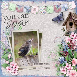 You Can Soar...