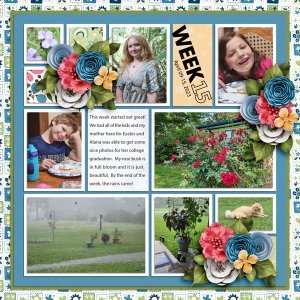 Project Life - Week 15