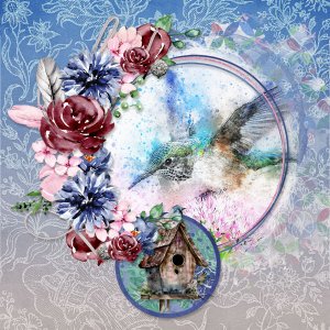 Hummingbird