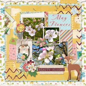 May Flowers